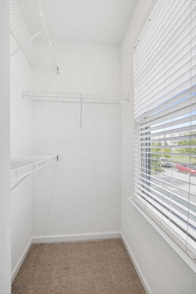 1440 White Dutch Ln, Antioch, TN 37013 - photo 28