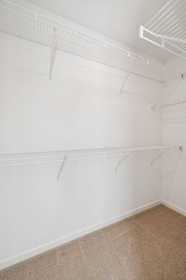 1440 White Dutch Ln, Antioch, TN 37013 - photo 35