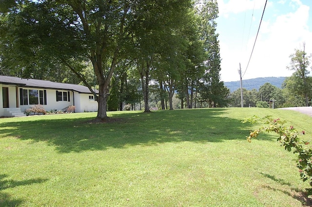 235 Highland Dr, Dunlap, TN 37327 - photo 4