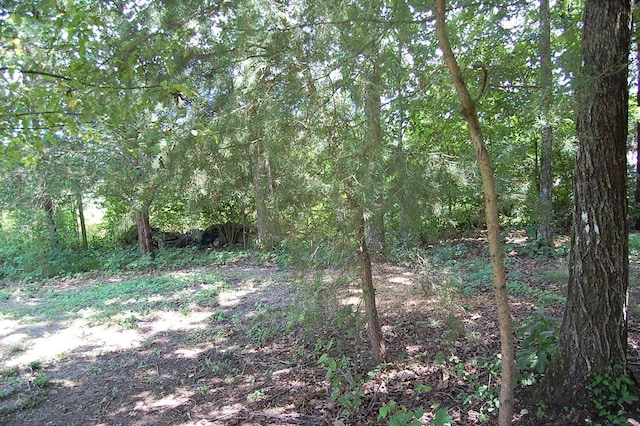 235 Highland Dr, Dunlap, TN 37327 - photo 24