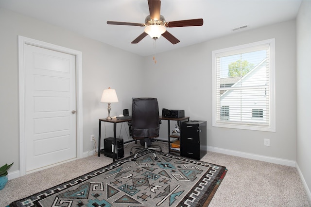 118 Colson Rd, Dover, TN 37058 - office space with ceiling fan and carpet floors