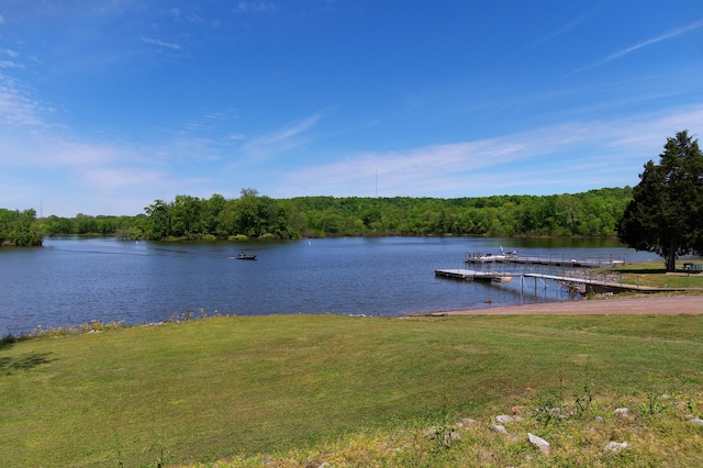 118 Colson Rd, Dover, TN 37058 - water view featuring a dock and a forest