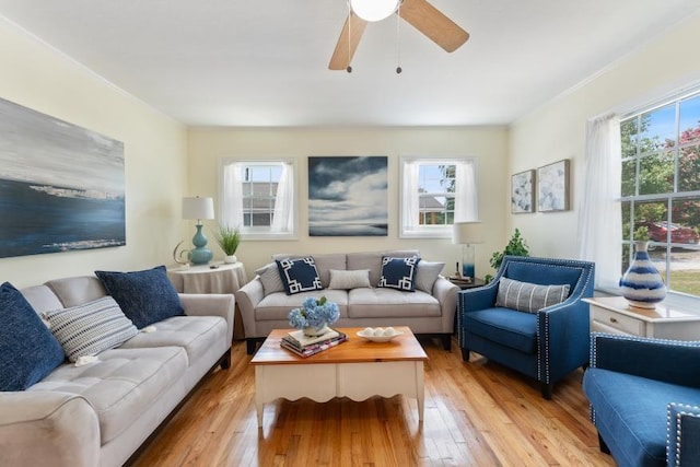 3102 Crescent Cir, Chattanooga, TN 37407 - living room with healthy amount of natural light, light wood finished floors, and ceiling fan