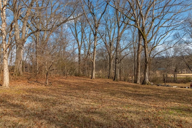 1203 Graymere Manor Rd, Columbia, TN 38401 - photo 78