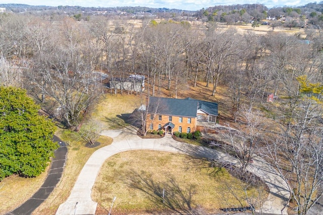 1203 Graymere Manor Rd, Columbia, TN 38401 - photo 84