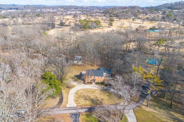 1203 Graymere Manor Rd, Columbia, TN 38401 - photo 87