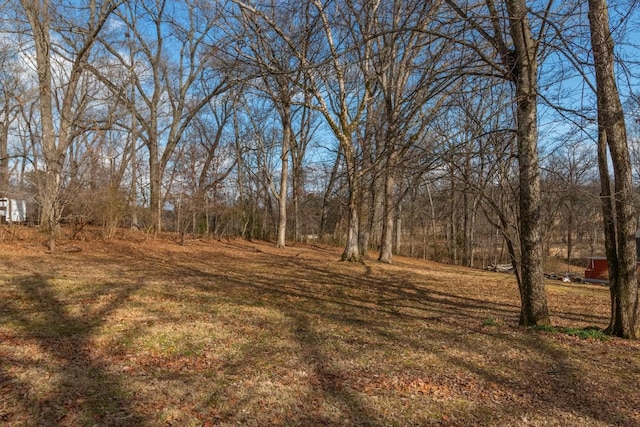 1203 Graymere Manor Rd, Columbia, TN 38401 - photo 79