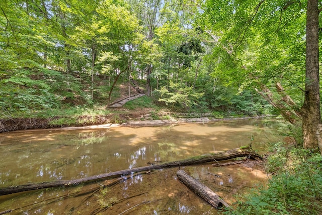 1051 Terraceside Cir, Clarksville, TN 37040 - photo 37