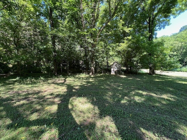 1121 S Grundy Quarles Hwy, Gainesboro, TN 38562 - photo 7