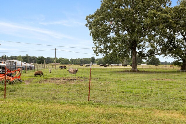 2653 Blanton Chapel Rd, Manchester, TN 37355 - photo 48