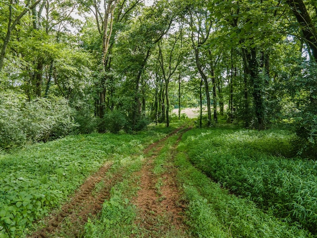 9 Old Zion Rd, Columbia, TN 38401