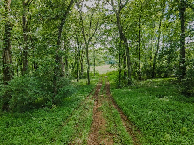 9 Old Zion Rd, Columbia, TN 38401