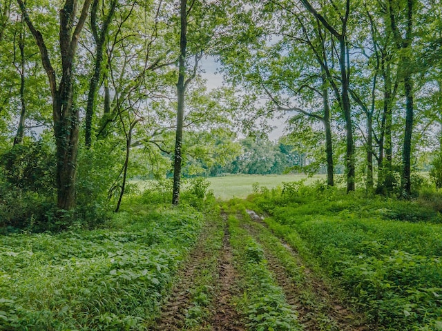 9 Old Zion Rd, Columbia, TN 38401