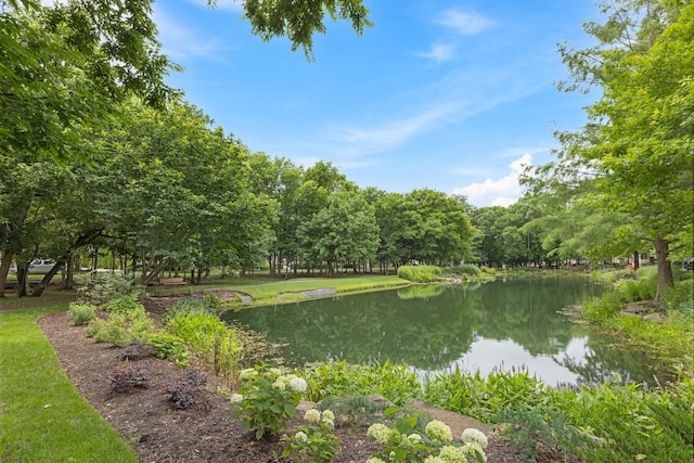 5068 Nelson Dr, Franklin, TN 37064 - photo 42