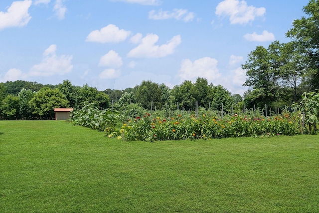 627 Ragsdale Rd, Manchester, TN 37355 - photo 4