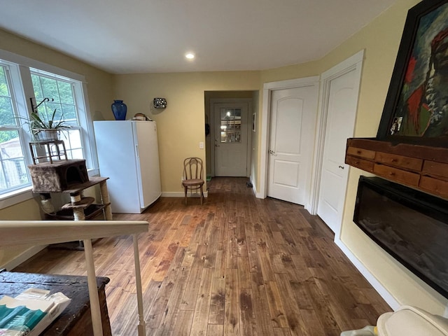 407 Cedar Rd, Pikeville, TN 37367 - living area featuring wood finished floors, recessed lighting, and a glass covered fireplace