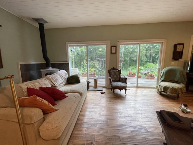 407 Cedar Rd, Pikeville, TN 37367 - living area featuring a wood stove and hardwood / wood-style flooring