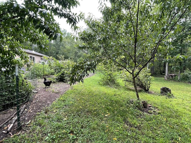 407 Cedar Rd, Pikeville, TN 37367 - view of grassy yard