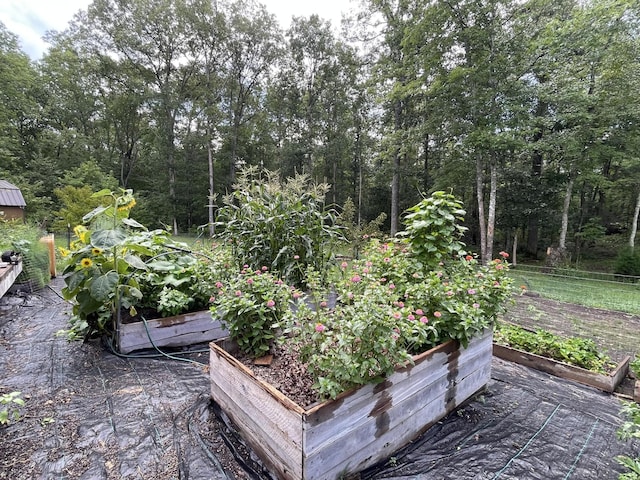 407 Cedar Rd, Pikeville, TN 37367 - view of patio featuring a garden