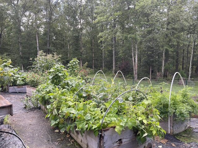 407 Cedar Rd, Pikeville, TN 37367 - view of yard with a vegetable garden and a view of trees
