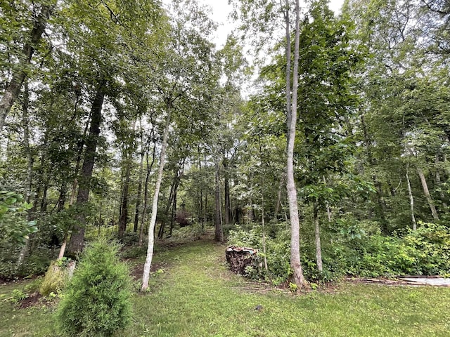 407 Cedar Rd, Pikeville, TN 37367 - view of yard featuring a forest view