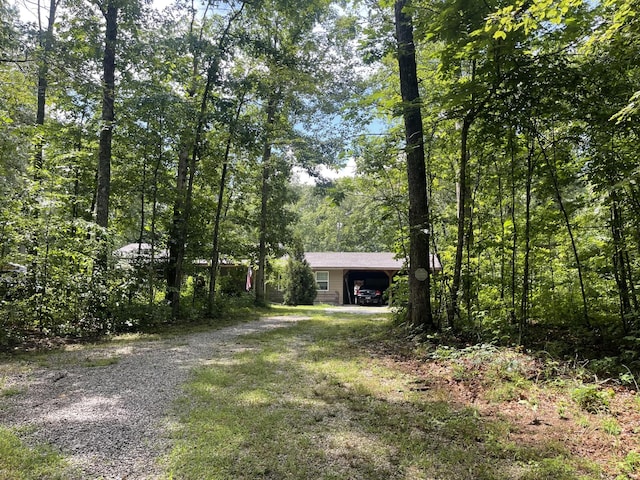 407 Cedar Rd, Pikeville, TN 37367 - view of yard featuring driveway and an attached carport