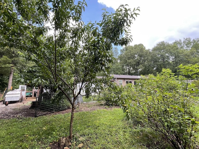 407 Cedar Rd, Pikeville, TN 37367 - view of yard