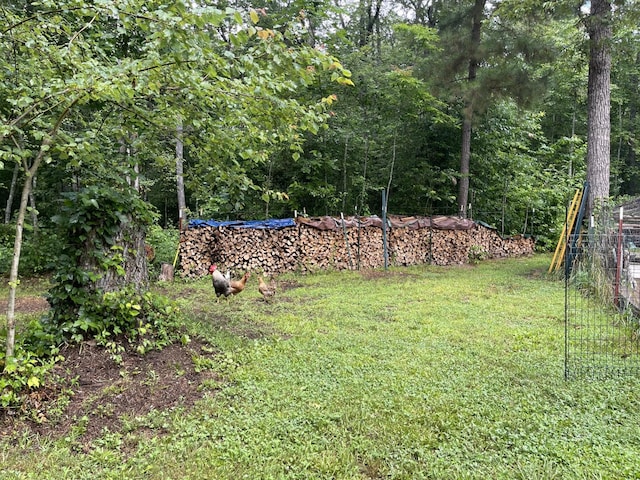 407 Cedar Rd, Pikeville, TN 37367 - view of green lawn