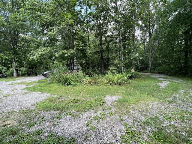 407 Cedar Rd, Pikeville, TN 37367 - view of yard with a wooded view