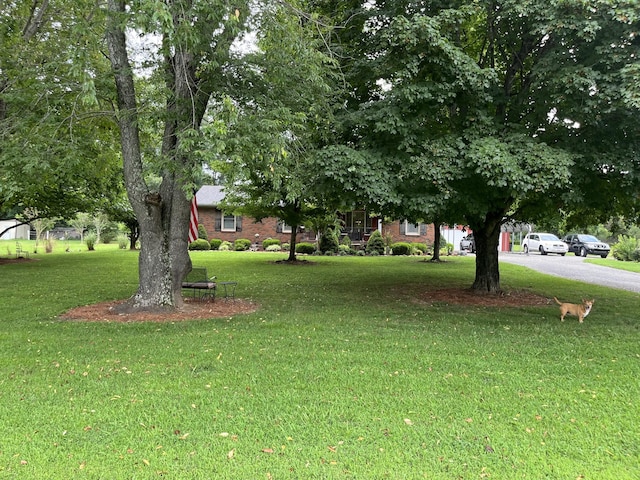 337 Raymond Hodges Rd, Cottontown, TN 37048 - photo 3