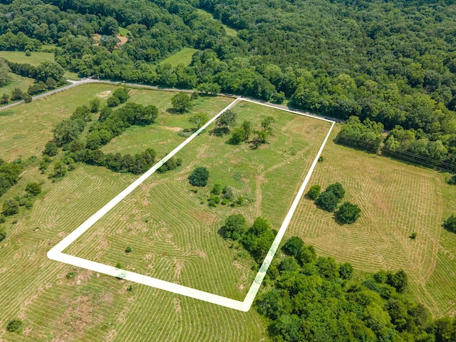 10 Double Branch Rd, Columbia, TN 38401 - photo 4