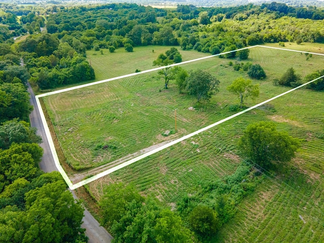 10 Double Branch Rd, Columbia, TN 38401 - photo 6