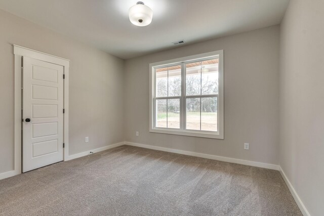 10 Double Branch Rd, Columbia, TN 38401 - photo 37