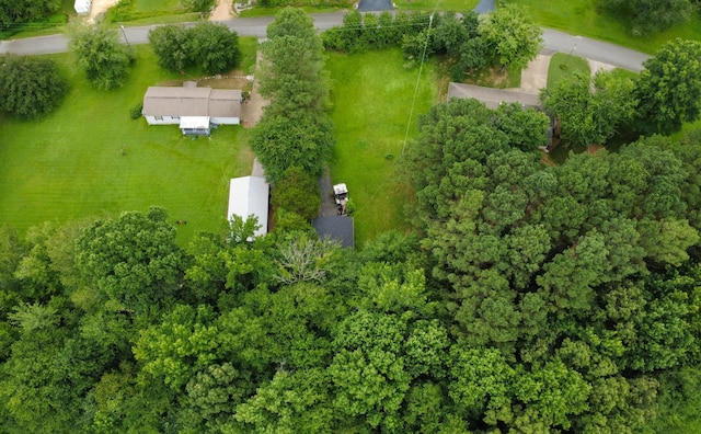 96 Meadowood Dr, Springville, TN 38256 - photo 6