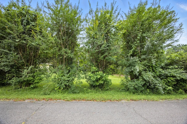 96 Meadowood Dr, Springville, TN 38256 - photo 11