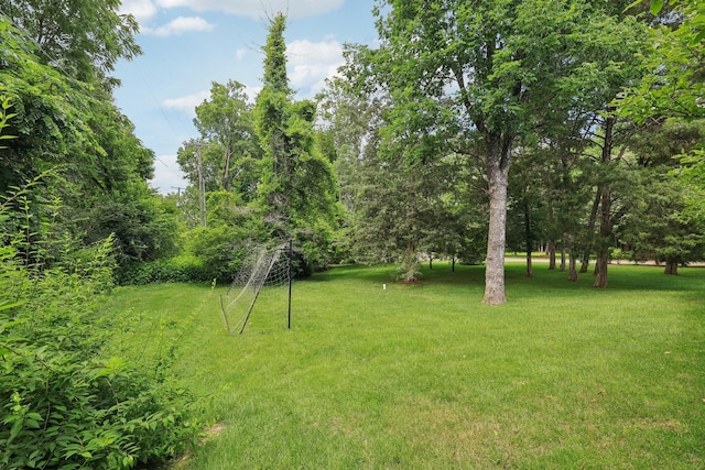 3 Annandale, Nashville, TN 37215 - view of grassy yard