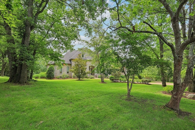 3 Annandale, Nashville, TN 37215 - view of green lawn