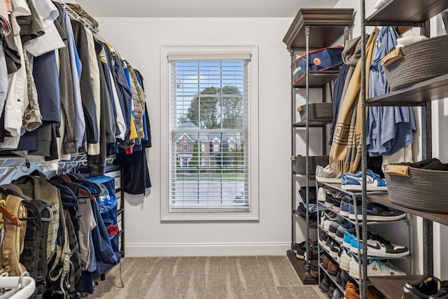 1808 Mosaic Trl, Murfreesboro, TN 37130 - spacious closet featuring carpet floors