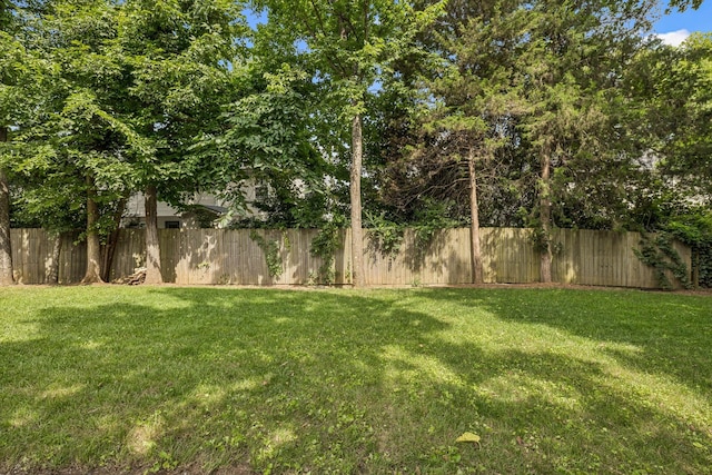 1808 Mosaic Trl, Murfreesboro, TN 37130 - view of yard