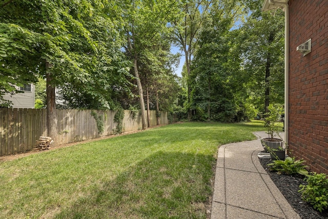 1808 Mosaic Trl, Murfreesboro, TN 37130 - view of yard