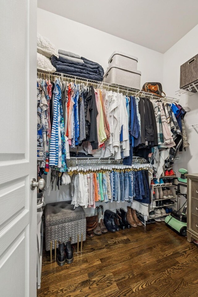 1808 Mosaic Trl, Murfreesboro, TN 37130 - walk in closet with wood finished floors