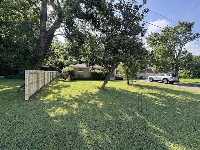101 Arnold Ln, Murfreesboro, TN 37127 - view of yard