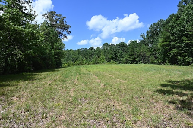 1338 New Hope Rd, Decaturville, TN 38329
