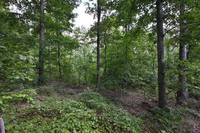 1338 New Hope Rd, Decaturville, TN 38329