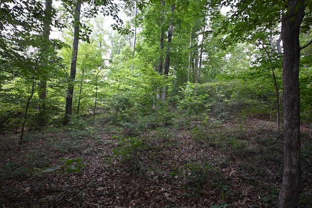 1338 New Hope Rd, Decaturville, TN 38329