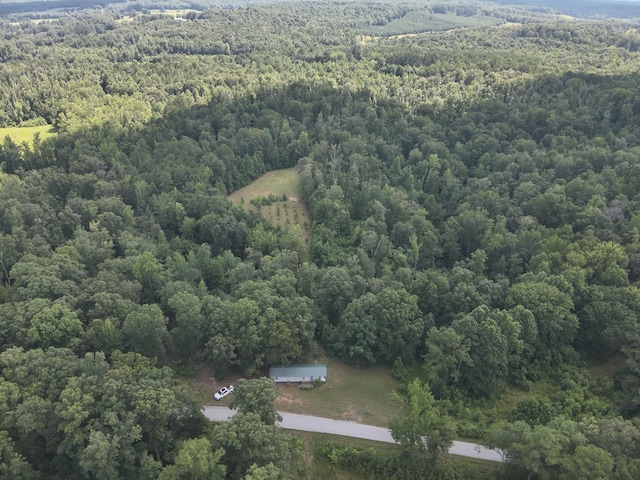 1338 New Hope Rd, Decaturville, TN 38329