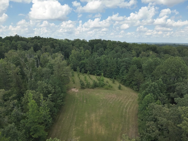 1338 New Hope Rd, Decaturville, TN 38329