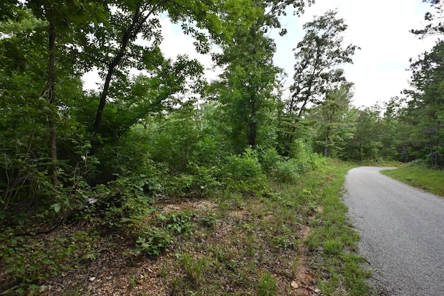 1338 New Hope Rd, Decaturville, TN 38329