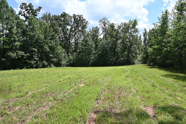 1338 New Hope Rd, Decaturville, TN 38329