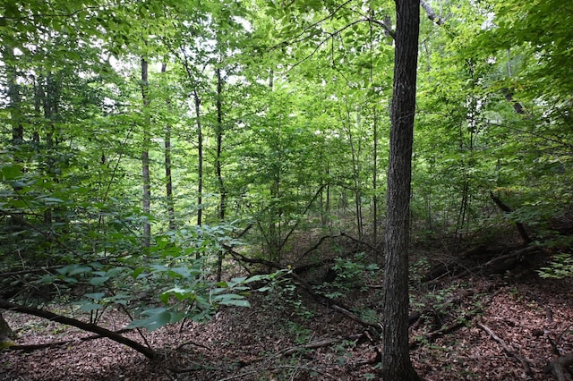 1338 New Hope Rd, Decaturville, TN 38329